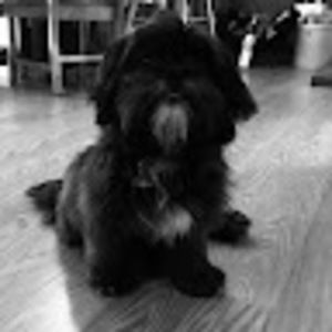 Meet your Posher, Ella